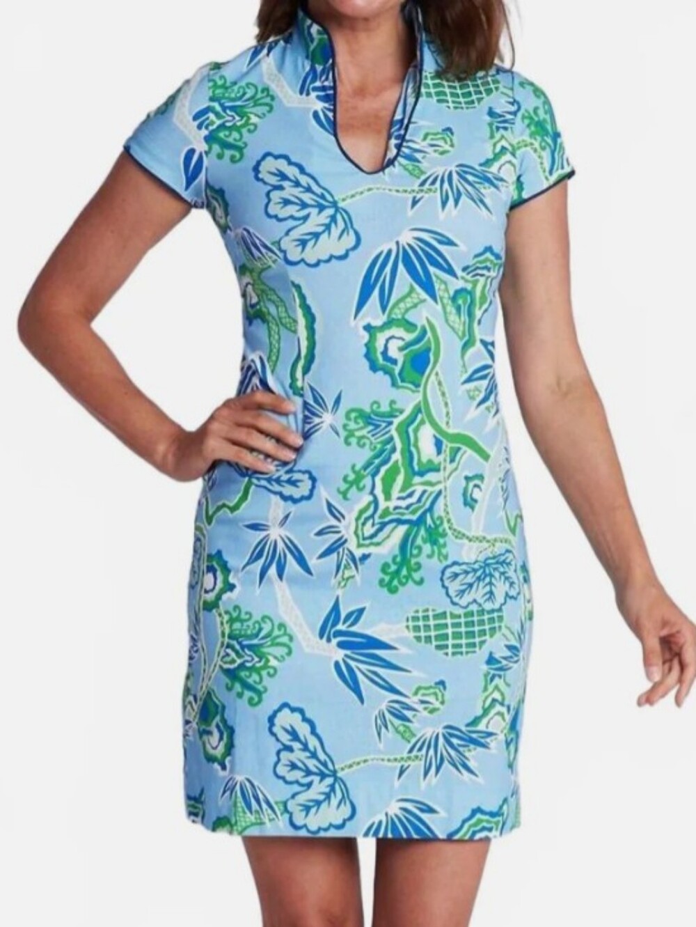 NWT CK BRADLEY aya dress in winifred sky Sz XS